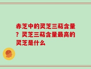 赤芝中的灵芝三萜含量？灵芝三萜含量最高的灵芝是什么