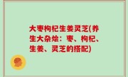 大枣枸杞生姜灵芝(养生大杂烩：枣、枸杞、生姜、灵芝的搭配)