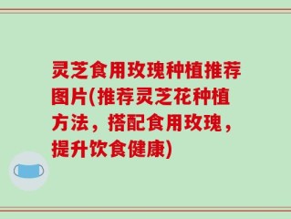 灵芝食用玫瑰种植推荐图片(推荐灵芝花种植方法，搭配食用玫瑰，提升饮食健康)