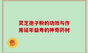 灵芝孢子粉的功效与作用延年益寿的神奇药材