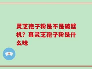 灵芝孢子粉是不是破壁机？真灵芝孢子粉是什么味