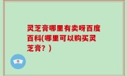 灵芝膏哪里有卖呀百度百科(哪里可以购买灵芝膏？)