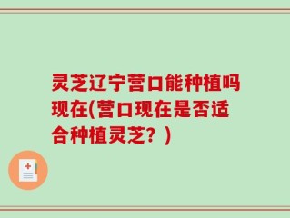 灵芝辽宁营口能种植吗现在(营口现在是否适合种植灵芝？)
