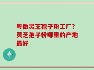粤微灵芝孢子粉工厂？灵芝孢子粉哪里的产地最好