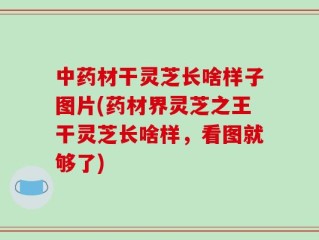 中药材干灵芝长啥样子图片(药材界灵芝之王干灵芝长啥样，看图就够了)
