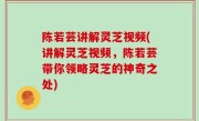 陈若芸讲解灵芝视频(讲解灵芝视频，陈若芸带你领略灵芝的神奇之处)
