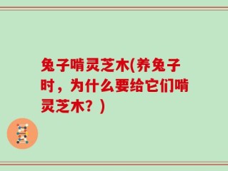 兔子啃灵芝木(养兔子时，为什么要给它们啃灵芝木？)