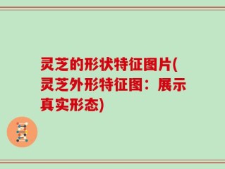 灵芝的形状特征图片(灵芝外形特征图：展示真实形态)