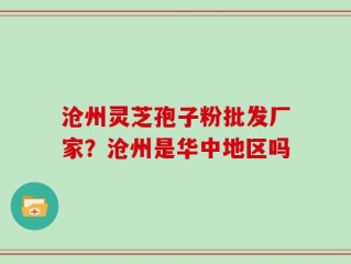 沧州灵芝孢子粉批发厂家？沧州是华中地区吗