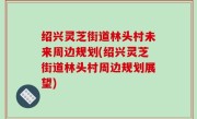 绍兴灵芝街道林头村未来周边规划(绍兴灵芝街道林头村周边规划展望)