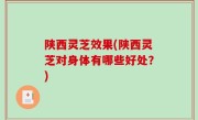 陕西灵芝效果(陕西灵芝对身体有哪些好处？)