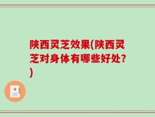 陕西灵芝效果(陕西灵芝对身体有哪些好处？)