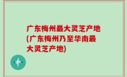 广东梅州最大灵芝产地(广东梅州乃至华南最大灵芝产地)