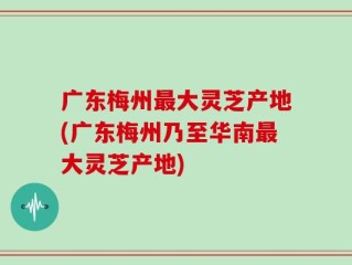 广东梅州最大灵芝产地(广东梅州乃至华南最大灵芝产地)