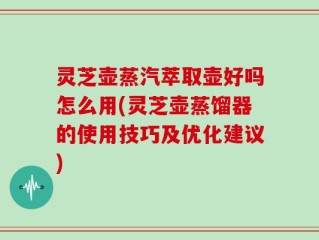 灵芝壶蒸汽萃取壶好吗怎么用(灵芝壶蒸馏器的使用技巧及优化建议)