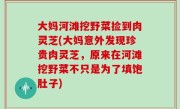 大妈河滩挖野菜捡到肉灵芝(大妈意外发现珍贵肉灵芝，原来在河滩挖野菜不只是为了填饱肚子)