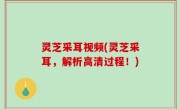 灵芝采耳视频(灵芝采耳，解析高清过程！)