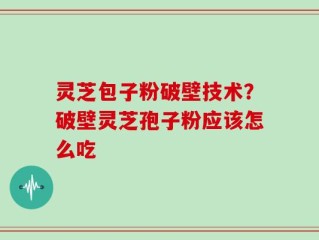 灵芝包子粉破壁技术？破壁灵芝孢子粉应该怎么吃