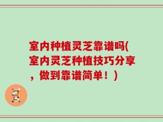 室内种植灵芝靠谱吗(室内灵芝种植技巧分享，做到靠谱简单！)