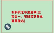 石斛灵芝冬虫夏草(三宝合一，石斛灵芝冬虫夏草佳选)