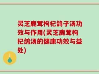 灵芝鹿茸枸杞鸽子汤功效与作用(灵芝鹿茸枸杞鸽汤的健康功效与益处)