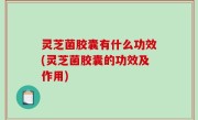 灵芝菌胶囊有什么功效(灵芝菌胶囊的功效及作用)