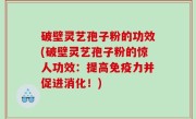 破壁灵艺孢子粉的功效(破壁灵艺孢子粉的惊人功效：提高免疫力并促进消化！)