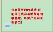 河北灵芝回收基地(河北灵芝废弃基地变身回收基地，环保产业实现新转型)