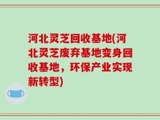 河北灵芝回收基地(河北灵芝废弃基地变身回收基地，环保产业实现新转型)
