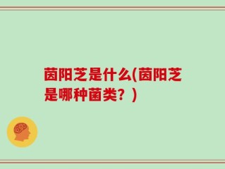 茵阳芝是什么(茵阳芝是哪种菌类？)