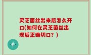灵芝菌丝出来后怎么开口(如何在灵芝菌丝出现后正确切口？)