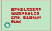 西洋参三七灵芝紫河车功效(西洋参三七灵芝紫河车：草本组合的神奇益处)