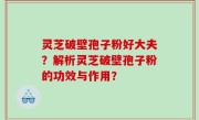 灵芝破壁孢子粉好大夫？解析灵芝破壁孢子粉的功效与作用？