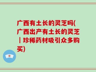 广西有土长的灵芝吗(广西出产有土长的灵芝｜珍稀药材吸引众多购买)