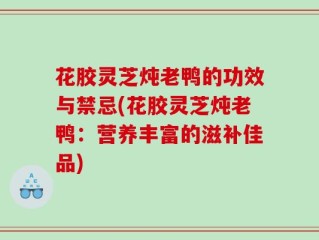 花胶灵芝炖老鸭的功效与禁忌(花胶灵芝炖老鸭：营养丰富的滋补佳品)