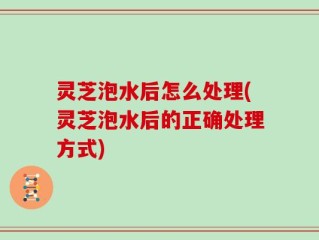 灵芝泡水后怎么处理(灵芝泡水后的正确处理方式)