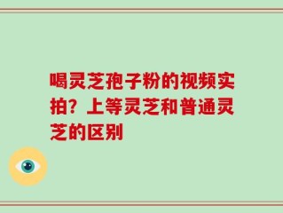 喝灵芝孢子粉的视频实拍？上等灵芝和普通灵芝的区别