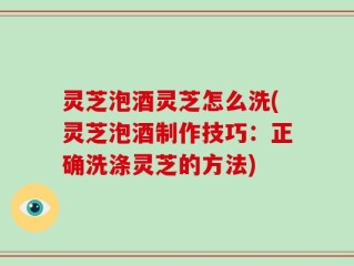 灵芝泡酒灵芝怎么洗(灵芝泡酒制作技巧：正确洗涤灵芝的方法)