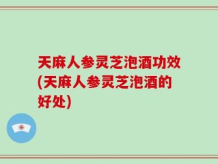 天麻人参灵芝泡酒功效(天麻人参灵芝泡酒的好处)