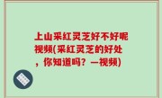 上山采红灵芝好不好呢视频(采红灵芝的好处，你知道吗？—视频)