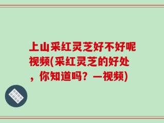 上山采红灵芝好不好呢视频(采红灵芝的好处，你知道吗？—视频)