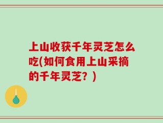 上山收获千年灵芝怎么吃(如何食用上山采摘的千年灵芝？)