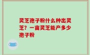 灵芝孢子粉什么种出灵芝？一亩灵芝能产多少孢子粉