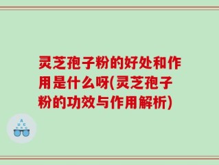 灵芝孢子粉的好处和作用是什么呀(灵芝孢子粉的功效与作用解析)