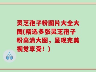 灵芝孢子粉图片大全大图(精选多张灵芝孢子粉高清大图，呈现完美视觉享受！)