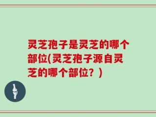 灵芝孢子是灵芝的哪个部位(灵芝孢子源自灵芝的哪个部位？)