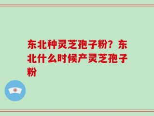 东北种灵芝孢子粉？东北什么时候产灵芝孢子粉