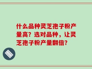 什么品种灵芝孢子粉产量高？选对品种，让灵芝孢子粉产量翻倍？