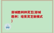 郯城胜利种灵芝(郯城胜利：培育灵芝新模式)