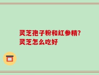灵芝孢子粉和红参精？灵芝怎么吃好